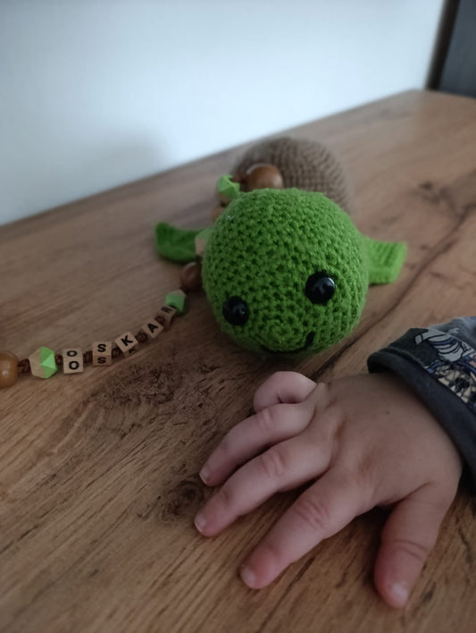 Schildkröte Franklin