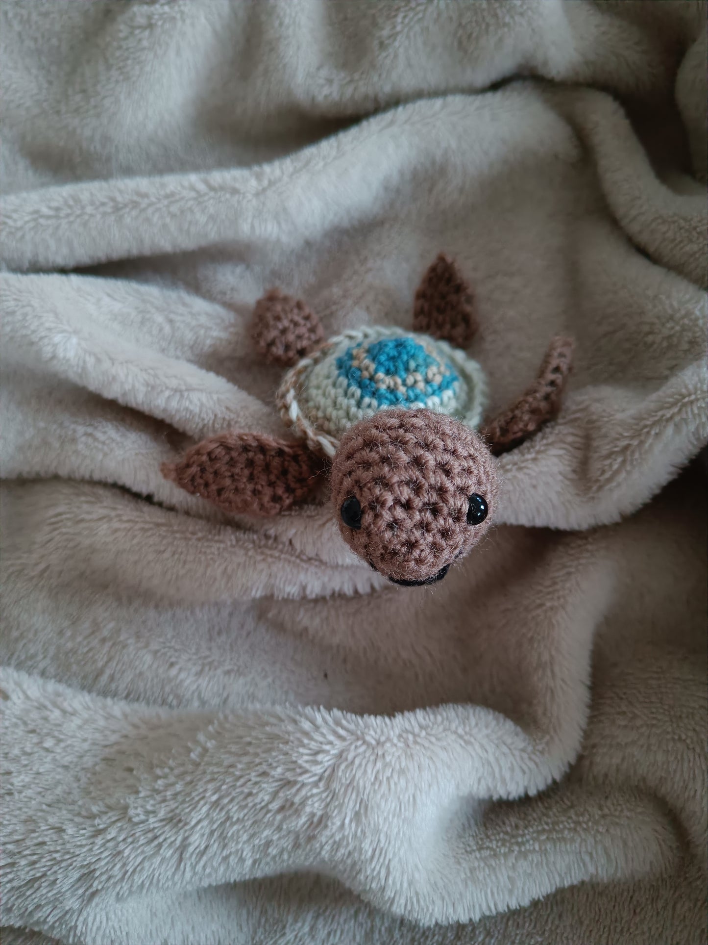 Schildkröte Franklin